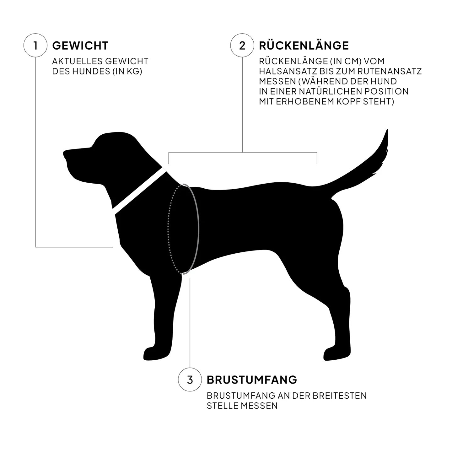 Cloud7 Hundemantel Dackel Alaska AKTIV Camo Gr. 2