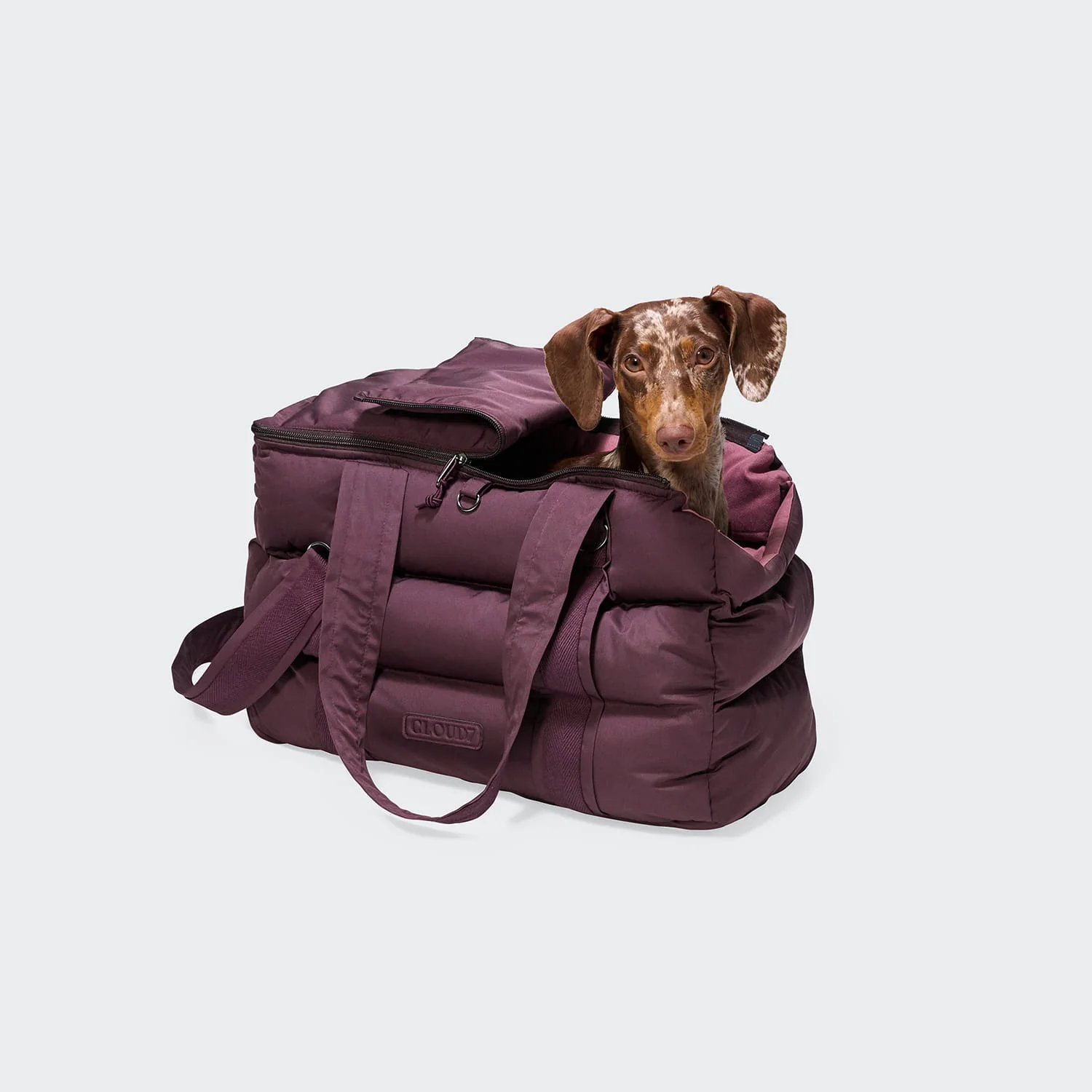 CLOUD7 Hundetasche MONTREAL 2.0 Dark Aubergine Gr. S