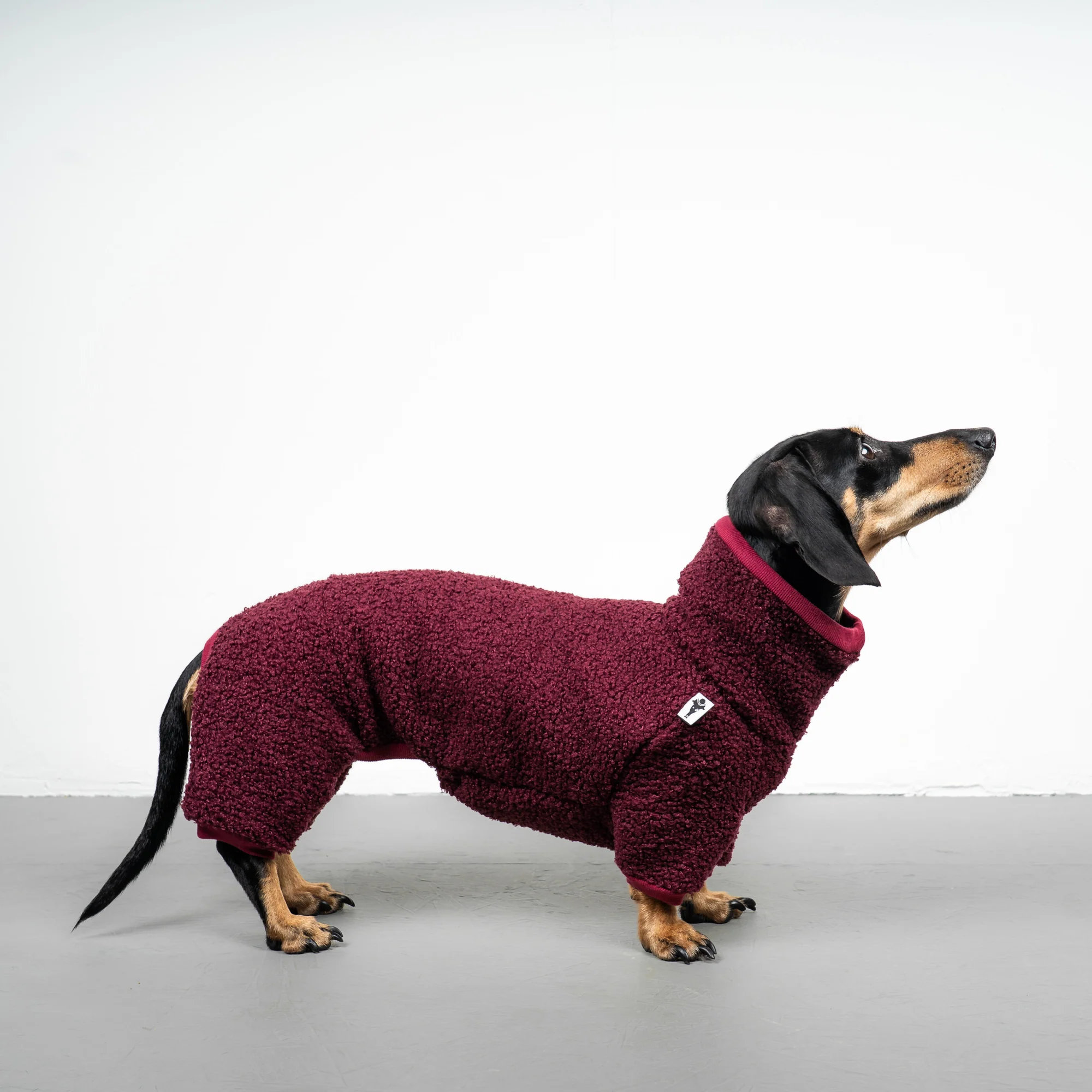 Karma Hund WINTER OVERALL 2.0 Dackel Weinrot S