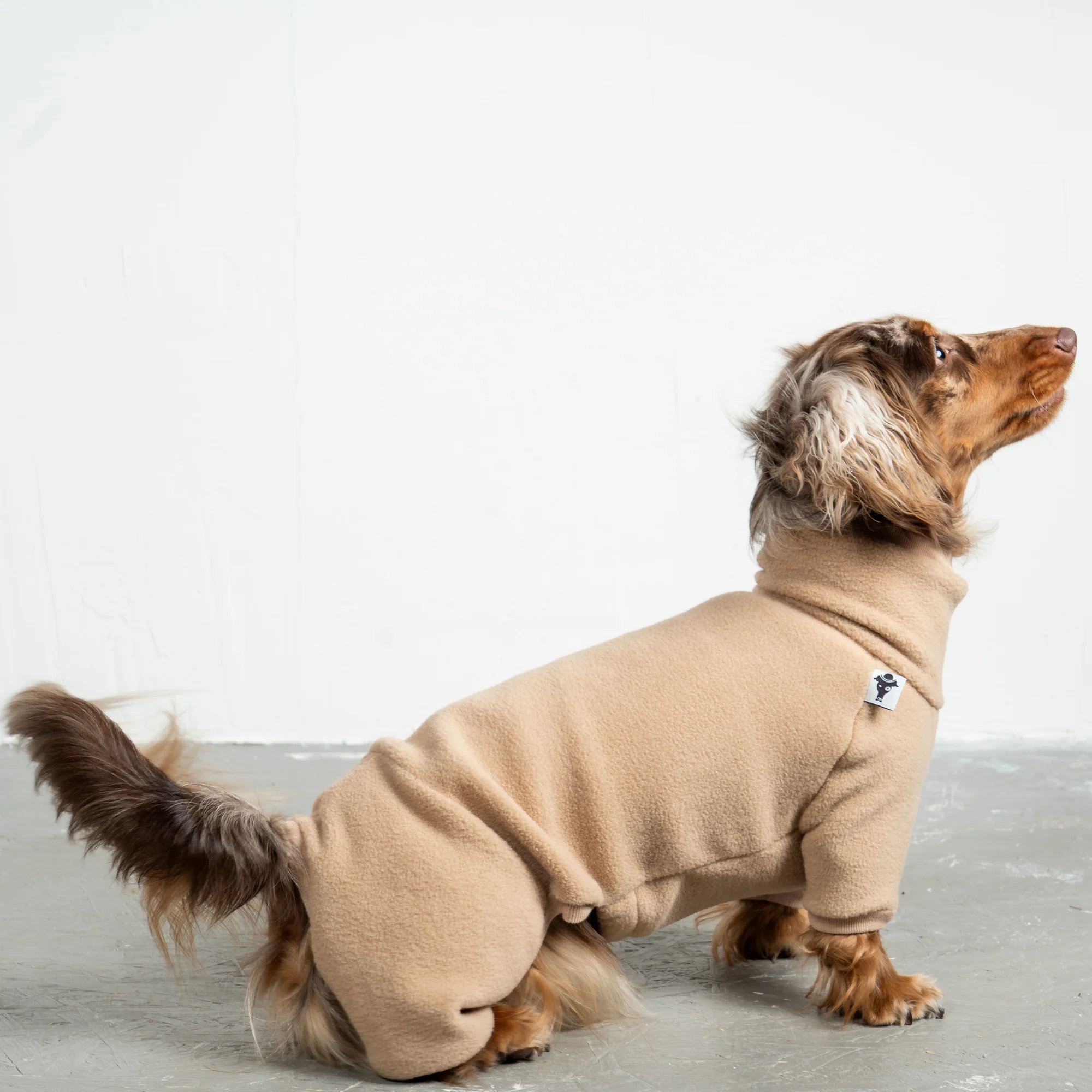 Karma Hund OVERALL Dackel Sand Beige S