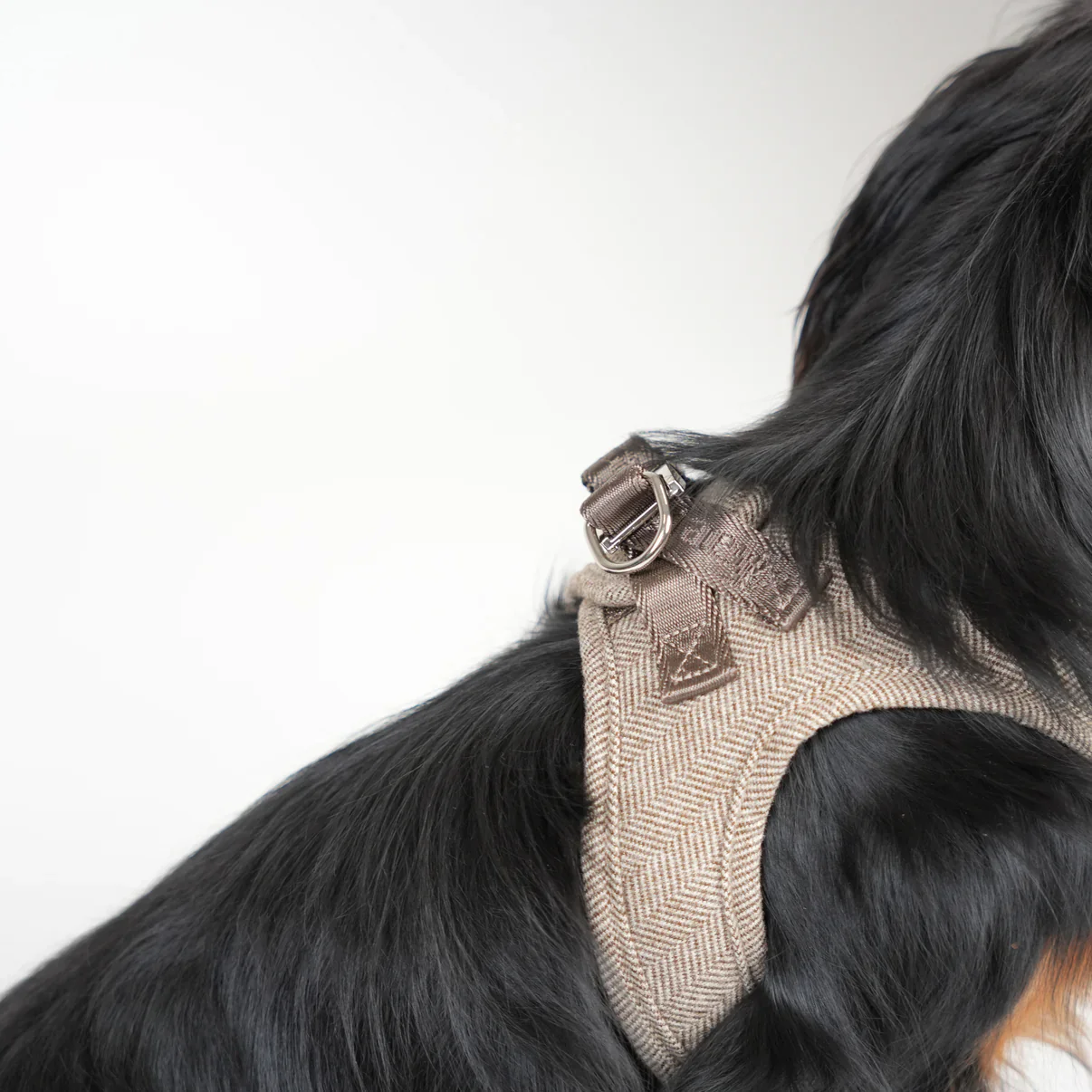 Step-In Hundegeschirr SAGA Mocca