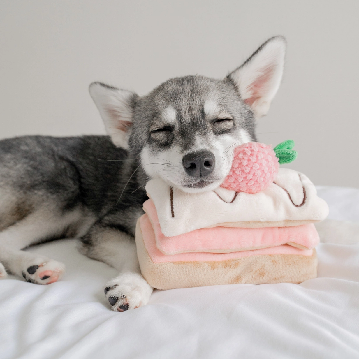 Schnüffelspielzeug STRAWBERRY MILLE-FEUILLE