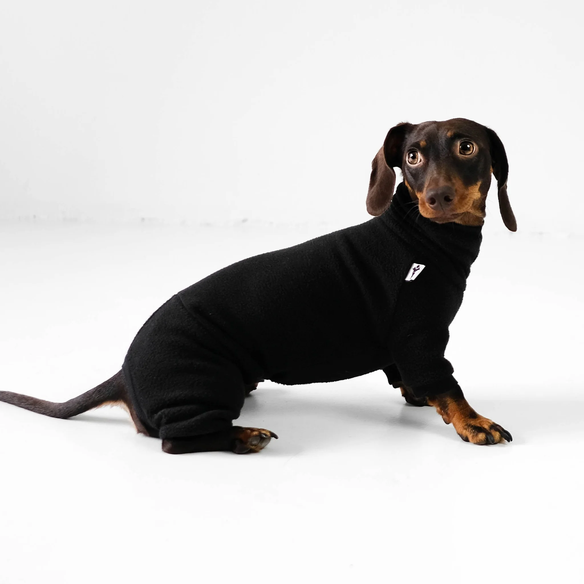 Overall Dackel Schwarz