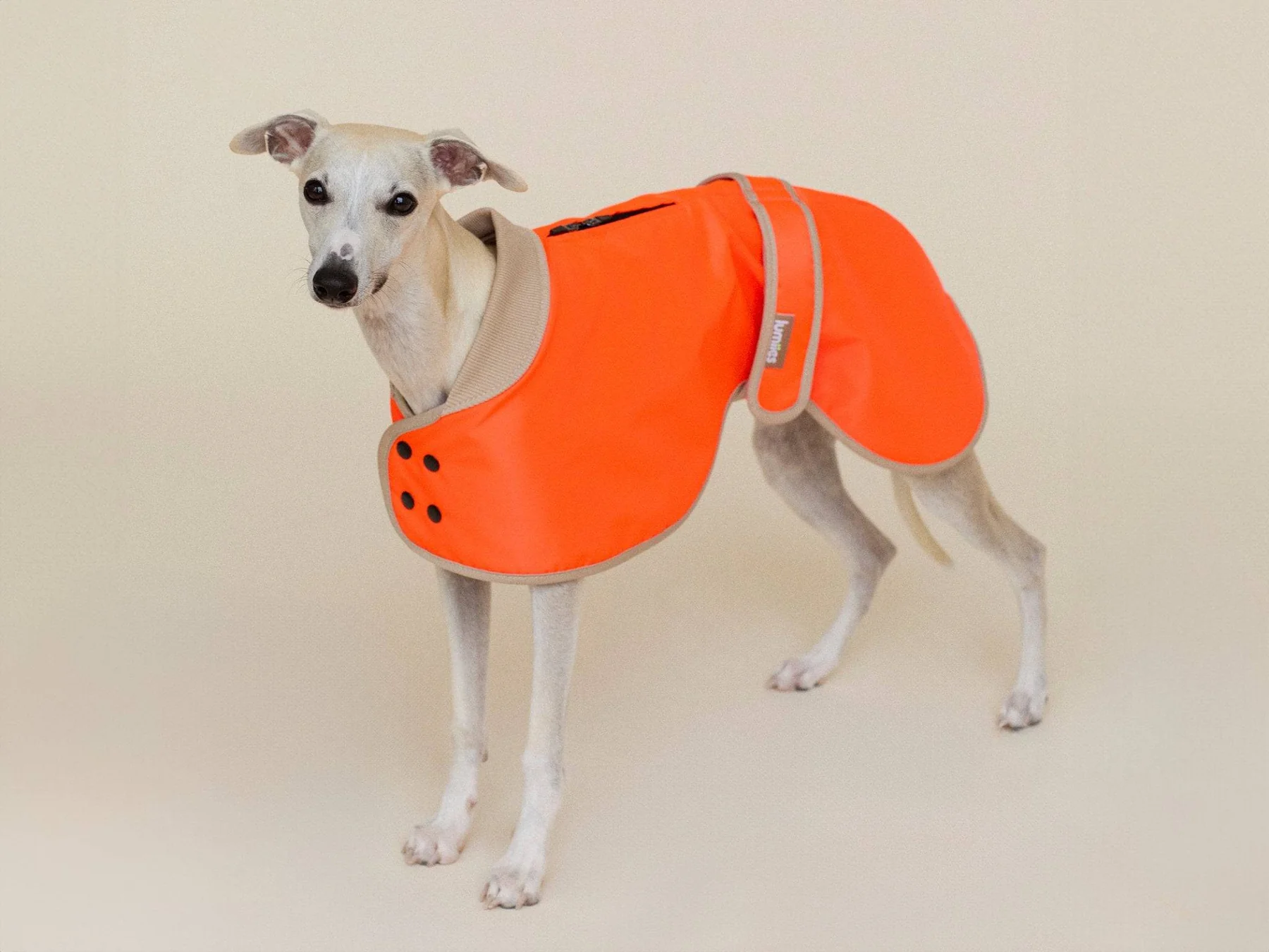 lumiies® Regenmantel THE GLOW RAINCOAT REGULAR_FIT Neon Tangerine Tiger