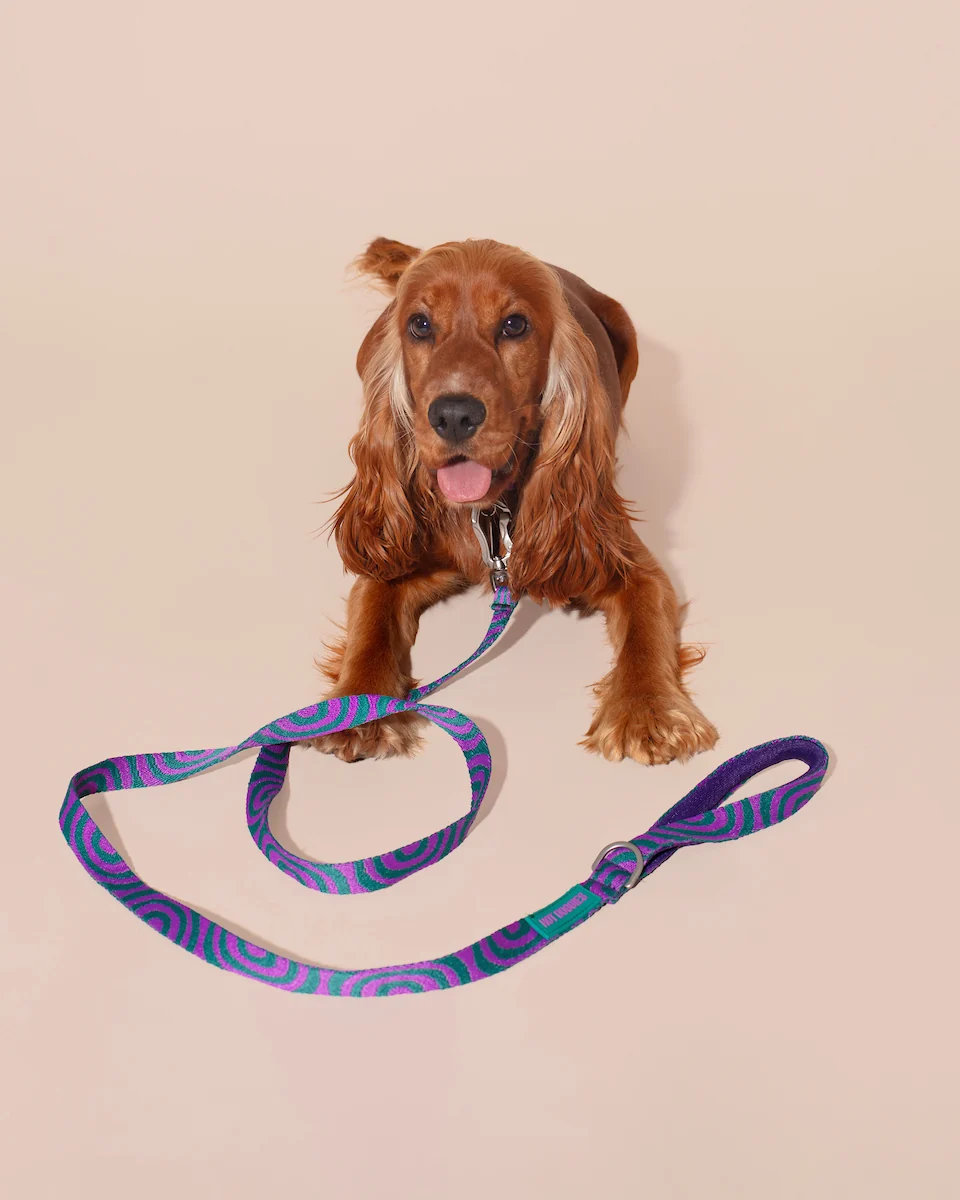 HOT DOGGIES® Klassische Leine LOLA GROOVE