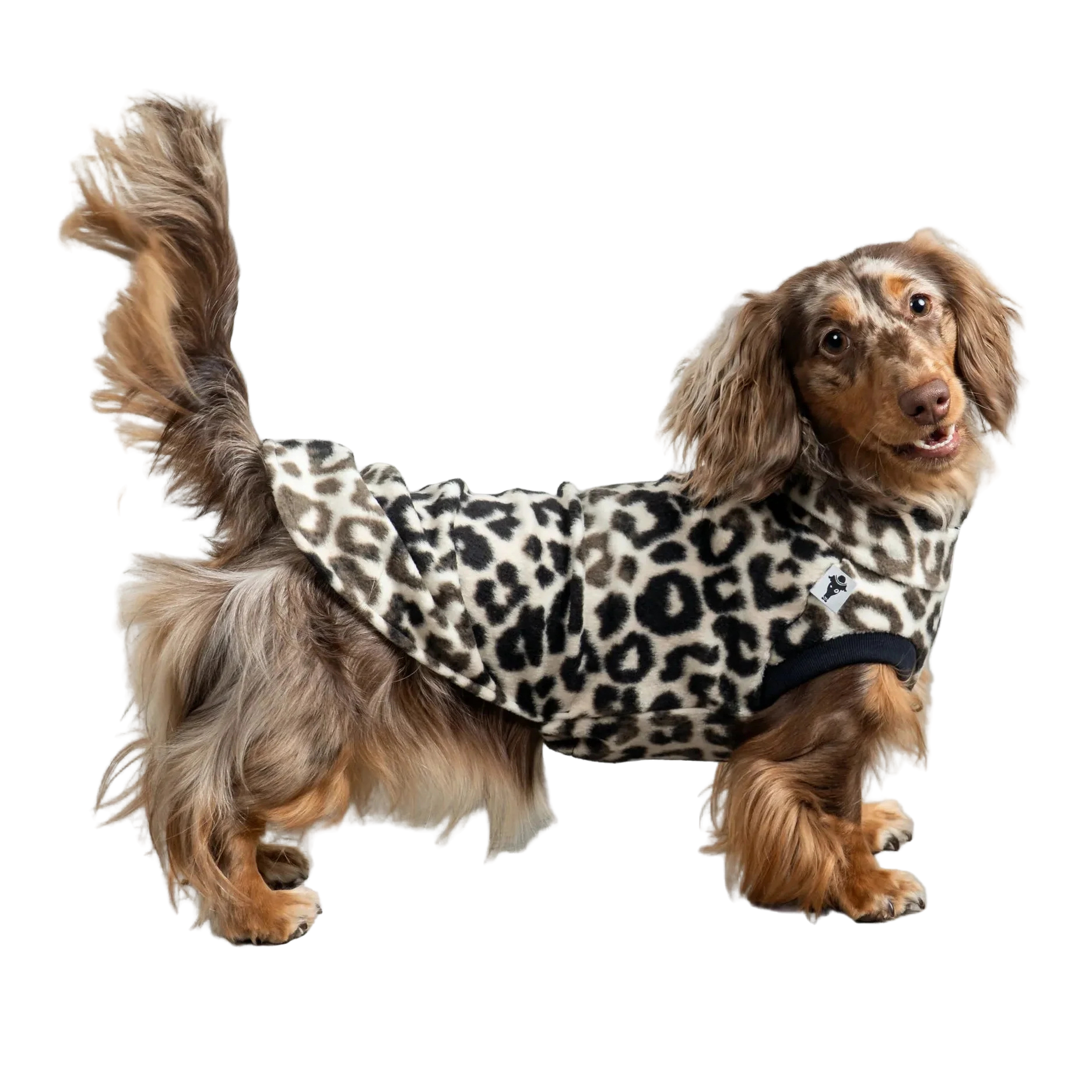Karma Hund FLEECE SHIRT Dackel Leo