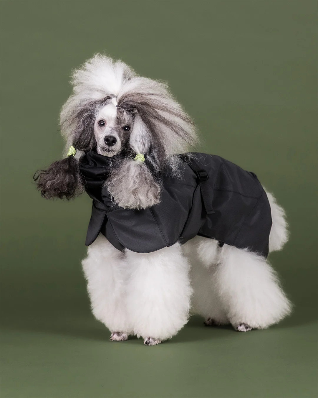 PAIKKA Visibility Hundewintermantel Seawool Dark Gr. 25