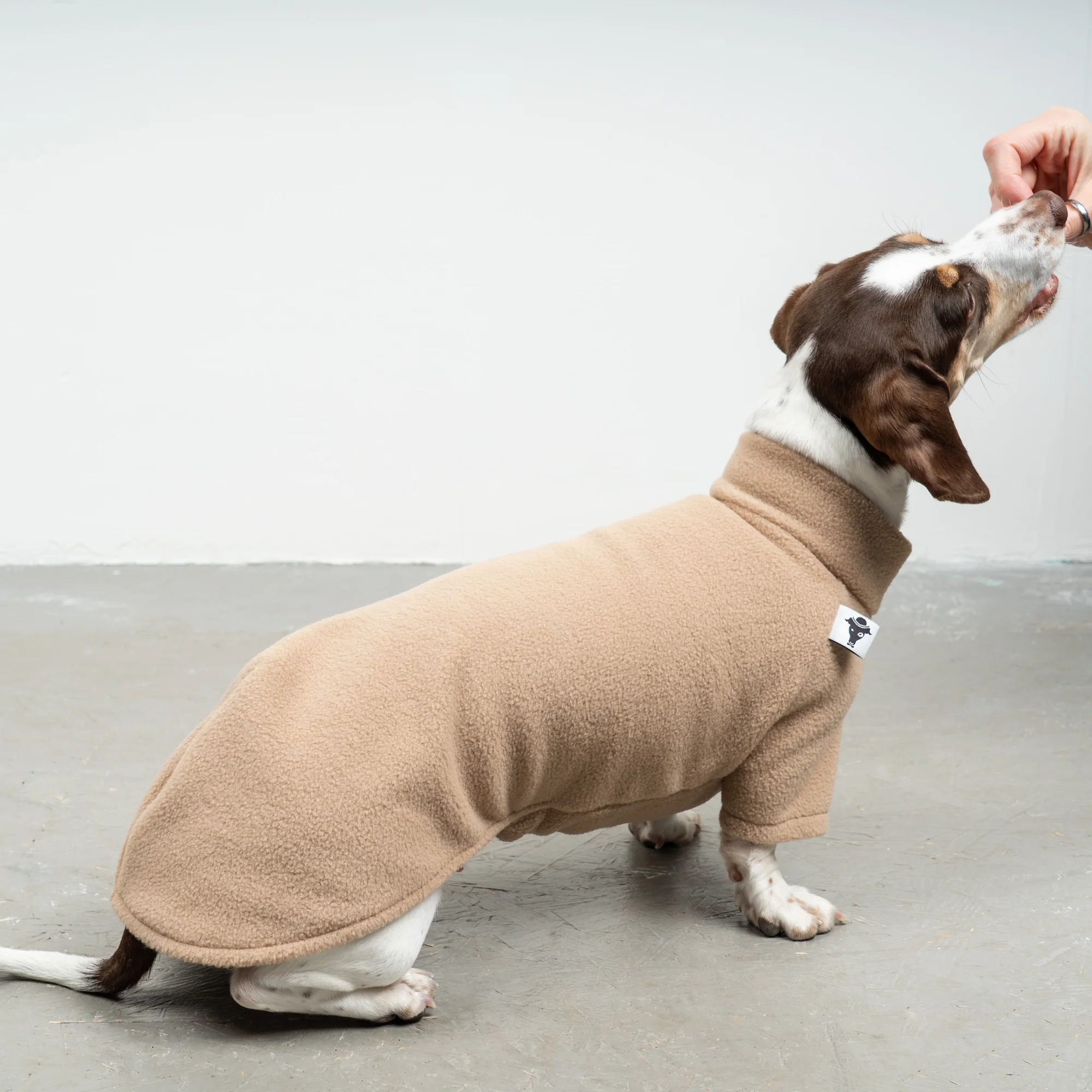 Karma Hund Pullover Dackel Sand Beige