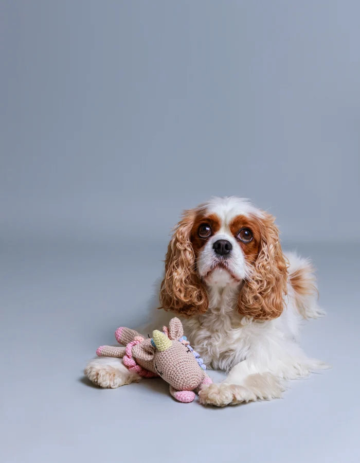 LILLABEL FLAVIA EINHORN Hundespielzeug mit Quietscher