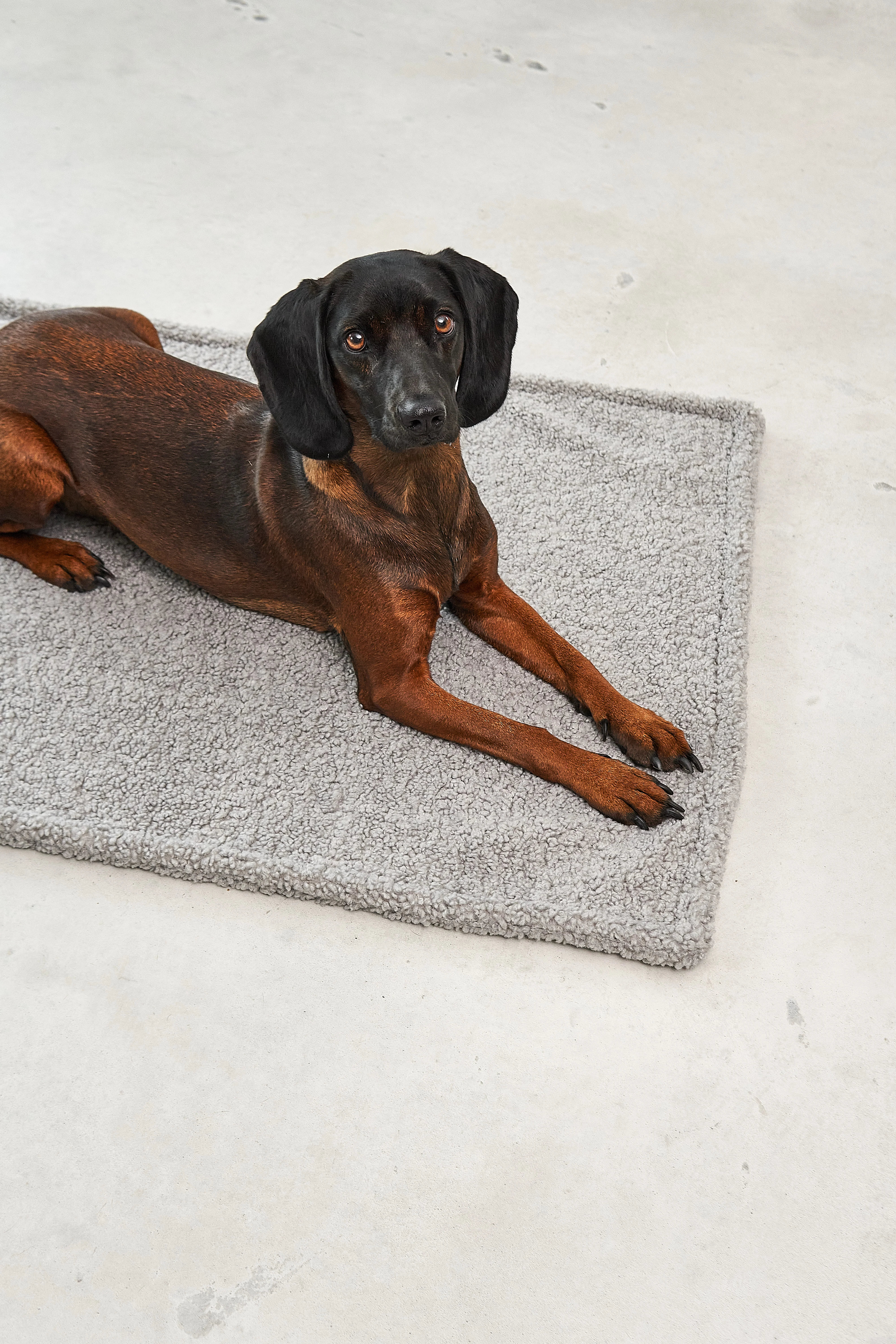 MiaCara SENSO Hundedecke Kiesel Gr. M