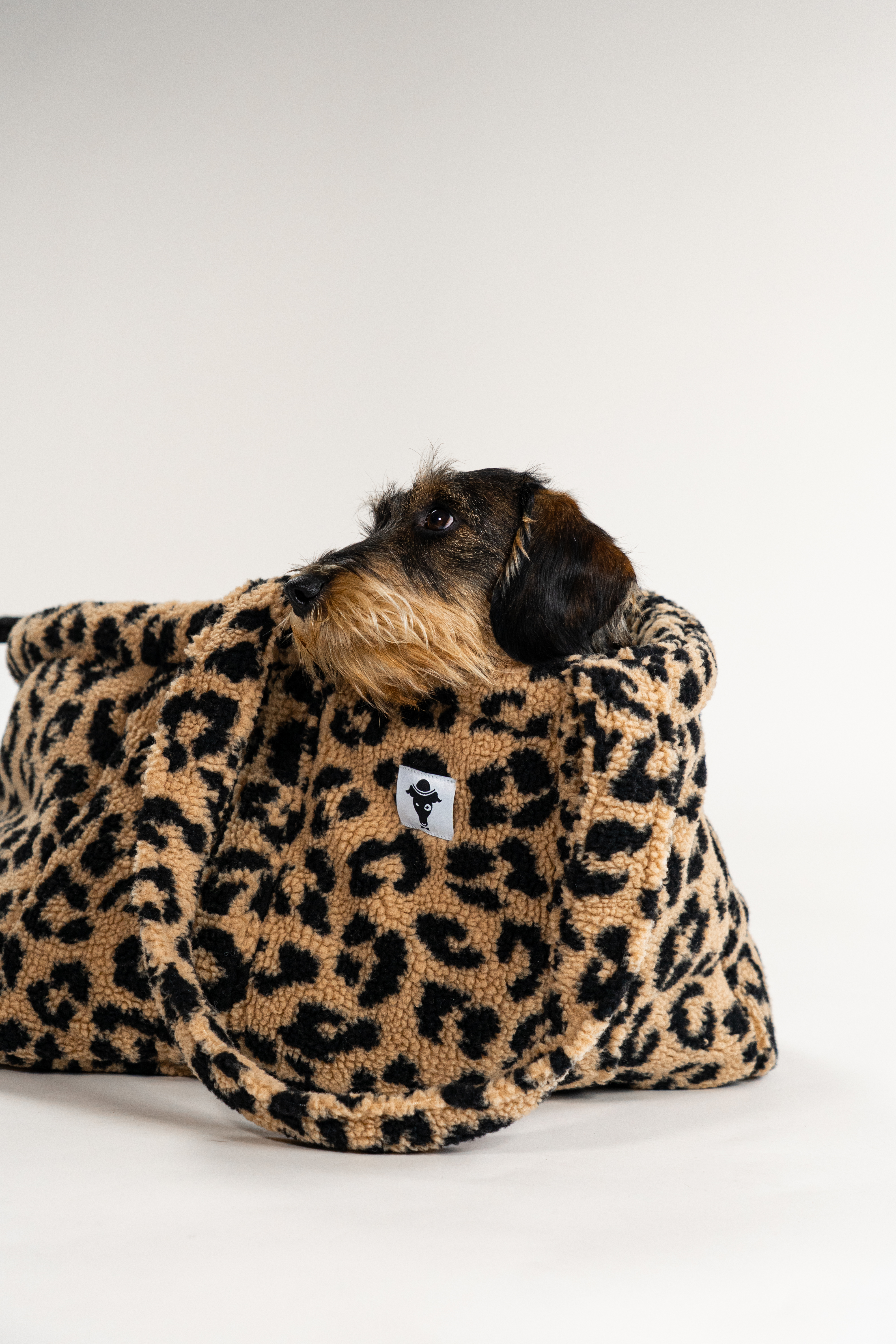 Teddy Shopper Leo