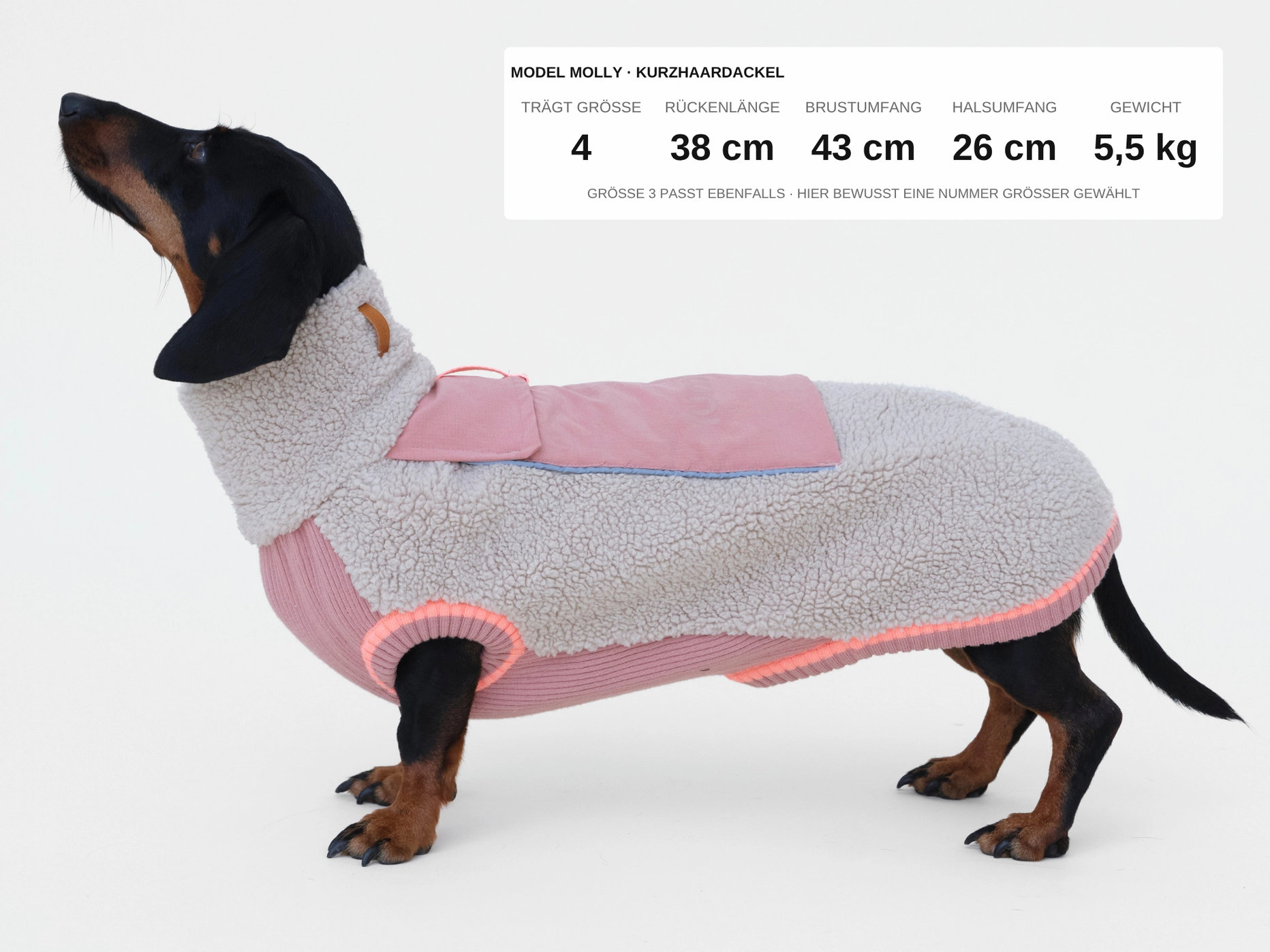 lumiies® THE SPORT RACER PULLOVER Royal Rosewood – warmer Sherpa Hundepullover Gr. 7
