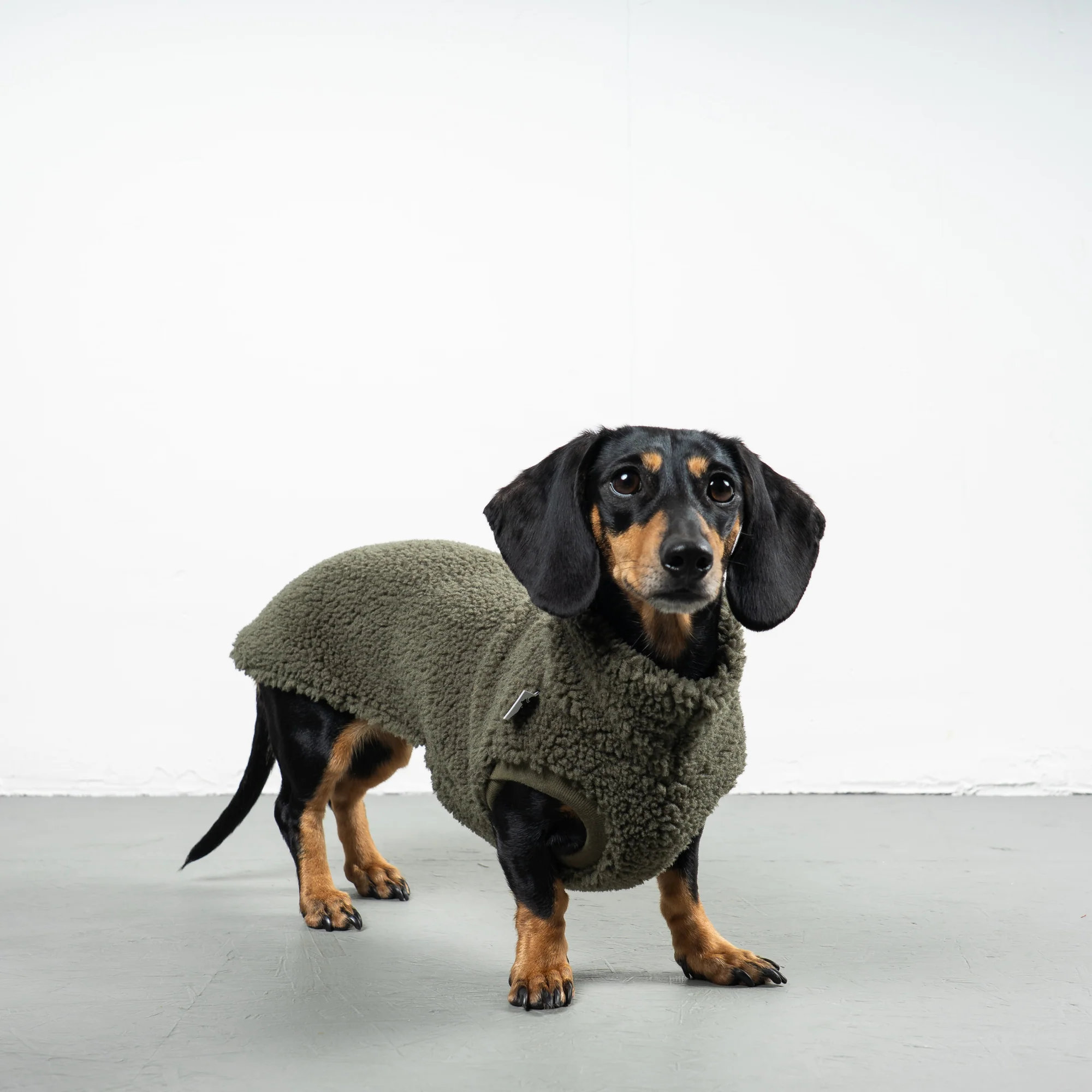 Karma Hund TEDDY SHIRT Dackel Olivgrün
