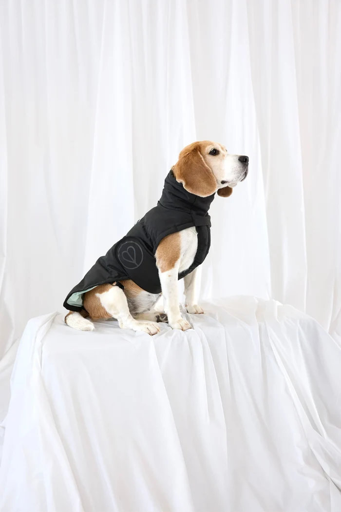 PALOPA Hundewintermantel Nolia Lang Black - für Dackel & Hunde mit längerer Körperform Gr. 3