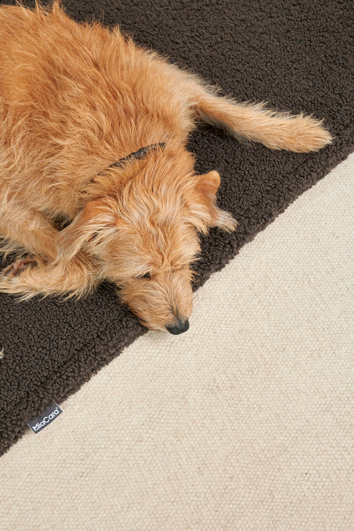 MiaCara SENSO Hundedecke Schokolade Gr. M