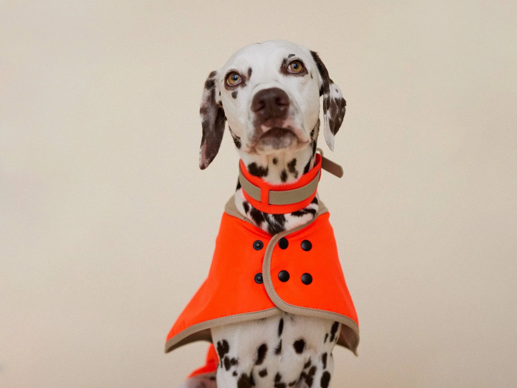 lumiies® Regenmantel THE GLOW RAINCOAT REGULAR_FIT Neon Tangerine Tiger