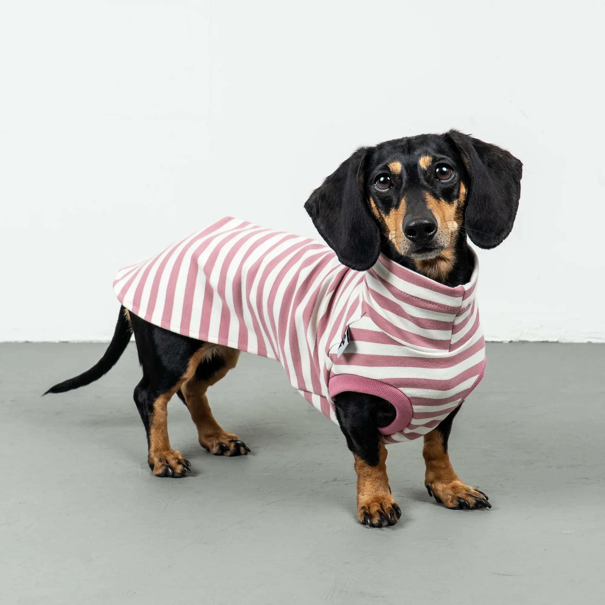 Cotton Shirt Dackel Pink Stripes L