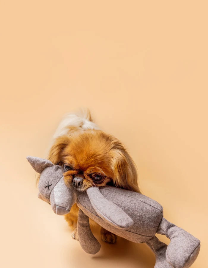 LILLABEL LUNA WOLF Hundespielzeug mit Knisterohren