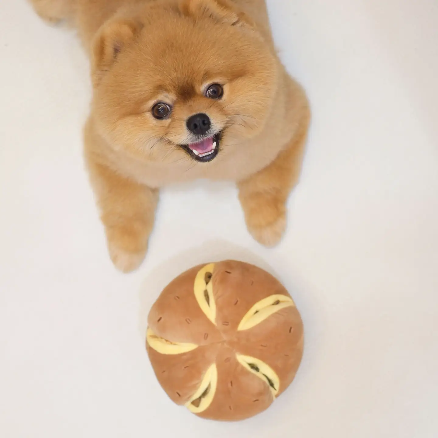 Schnüffelspielzeug CHEESY BREAD