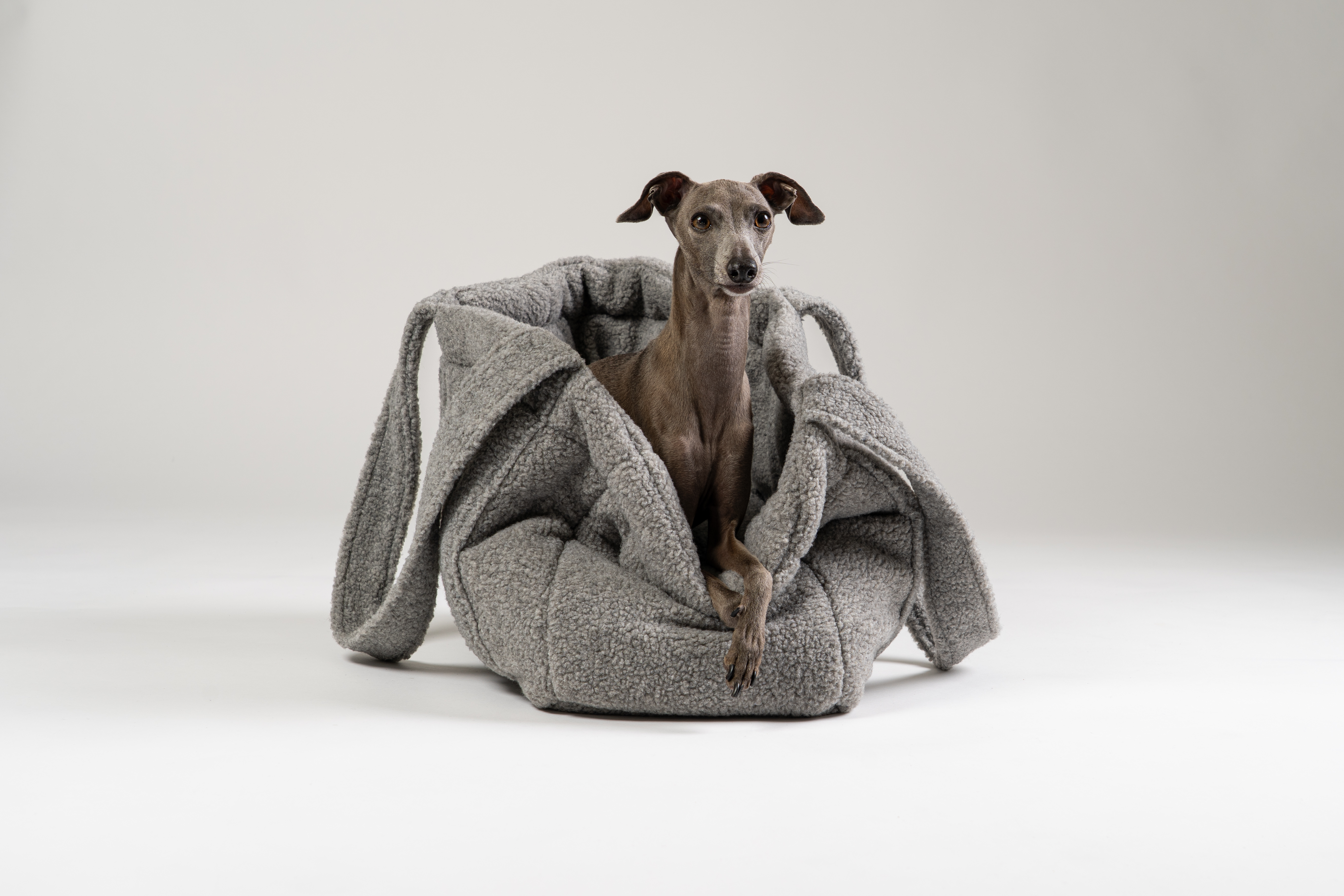 Teddy Shopper Grey