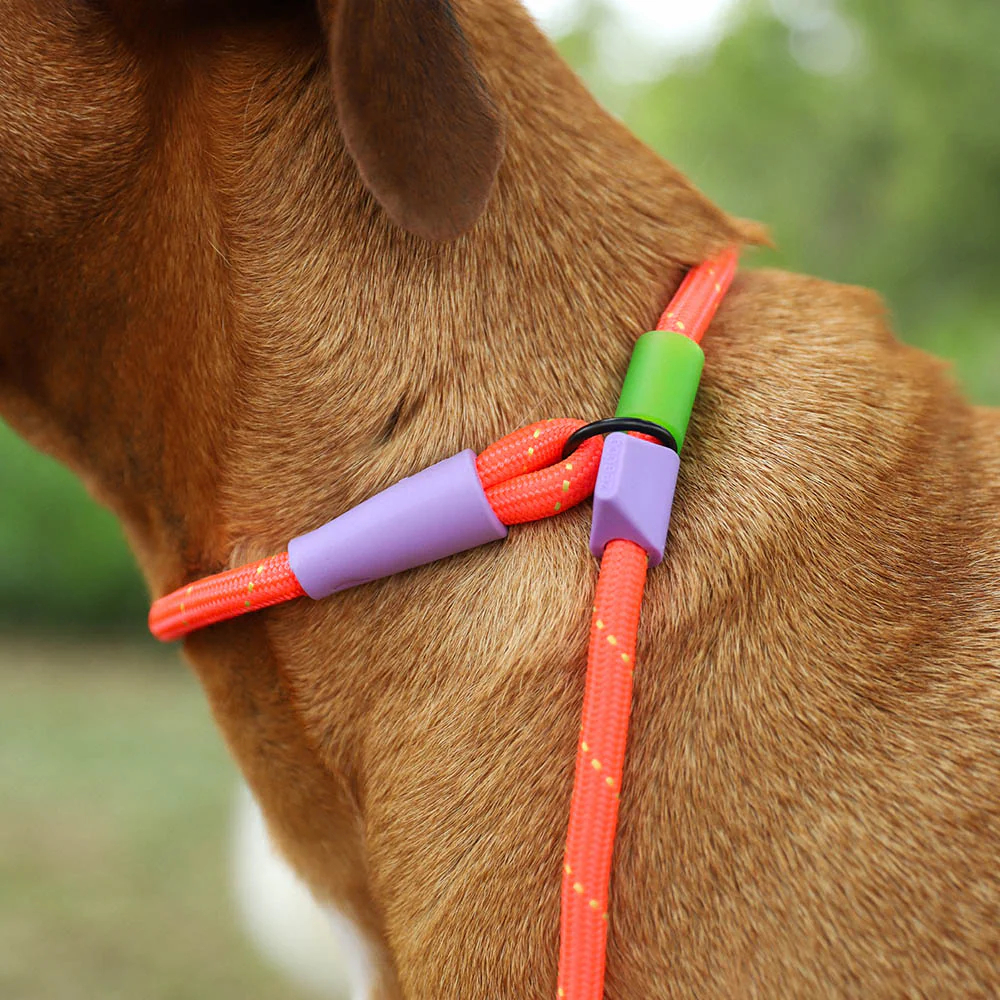 zee.dog Schlupfleine EVEREST Slip-N-Lock Leash