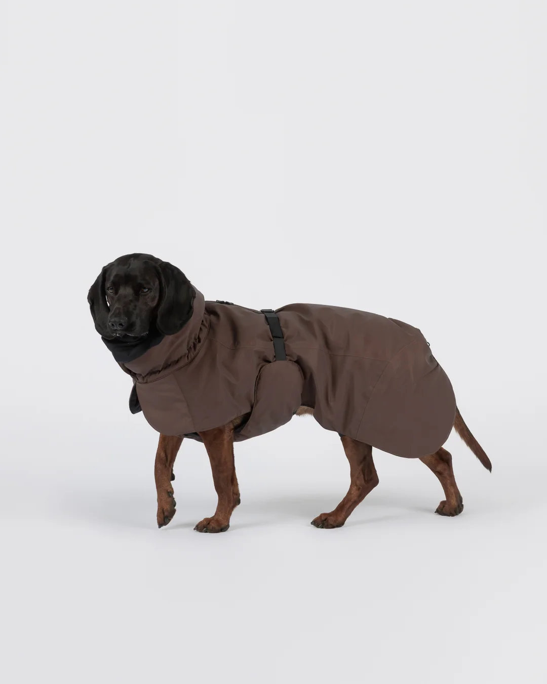 PAIKKA Visibility Hundewintermantel Seawool Choco Gr. 25