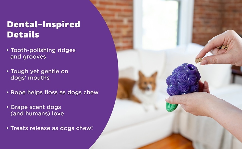 Planet Dog Hundespielzeug Dental Grapes Purple