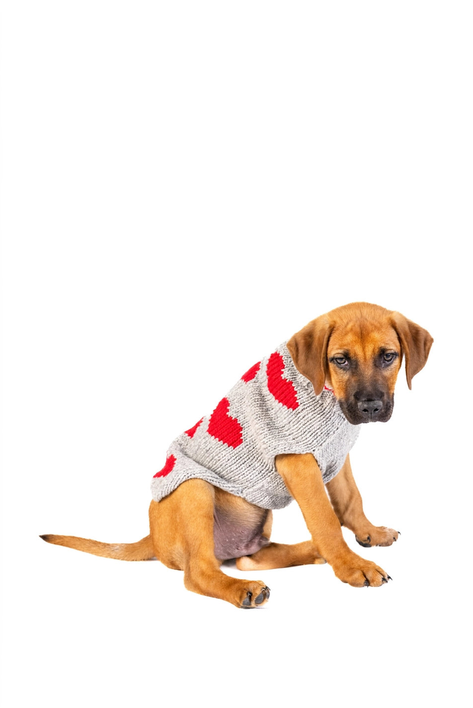 CHILLY DOG RED HEARTS – Handgestrickter Hundepullover aus reiner Wolle XS