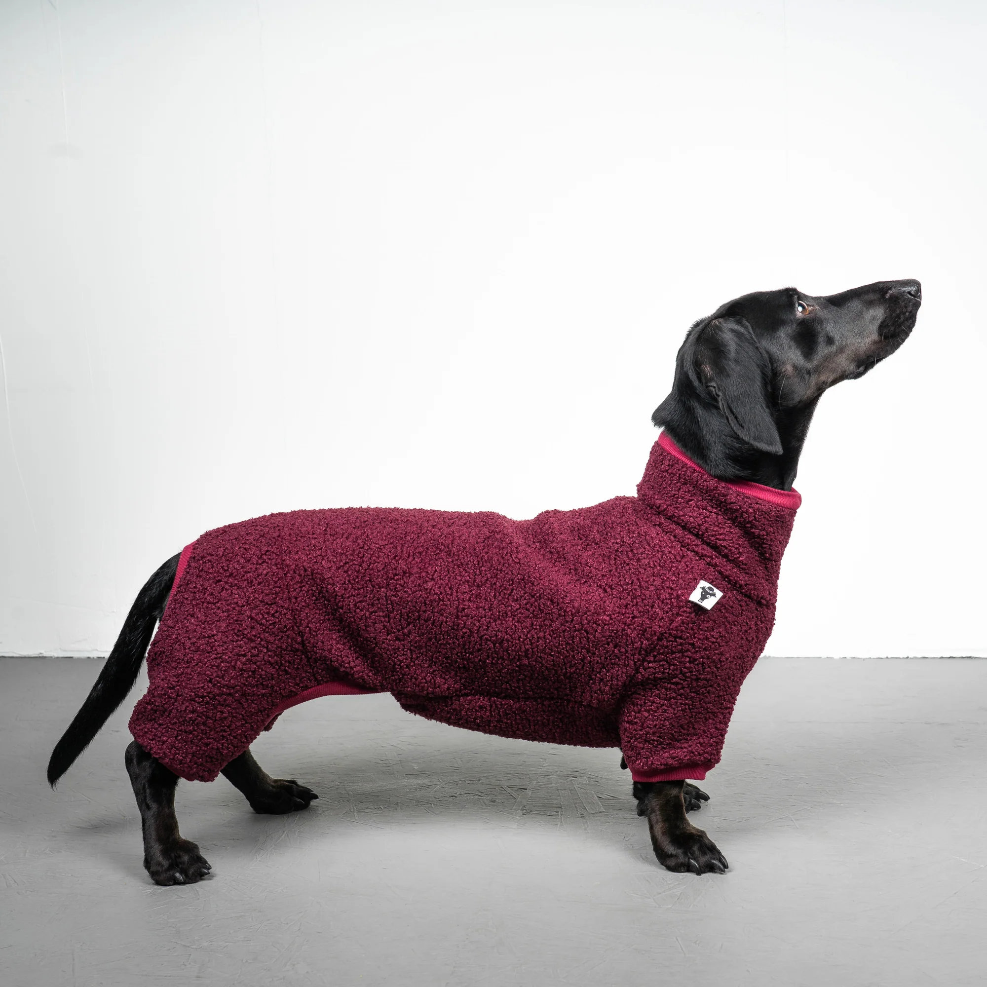 Karma Hund WINTER OVERALL 2.0 Dackel Weinrot S