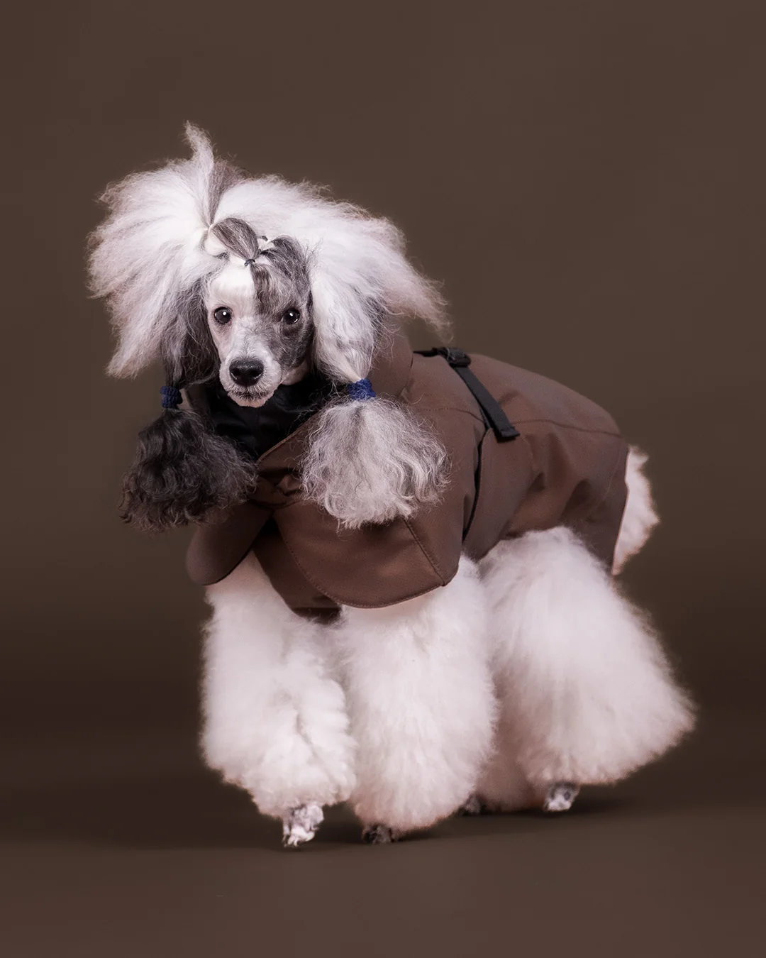 PAIKKA Visibility Hundewintermantel Seawool Choco Gr. 25