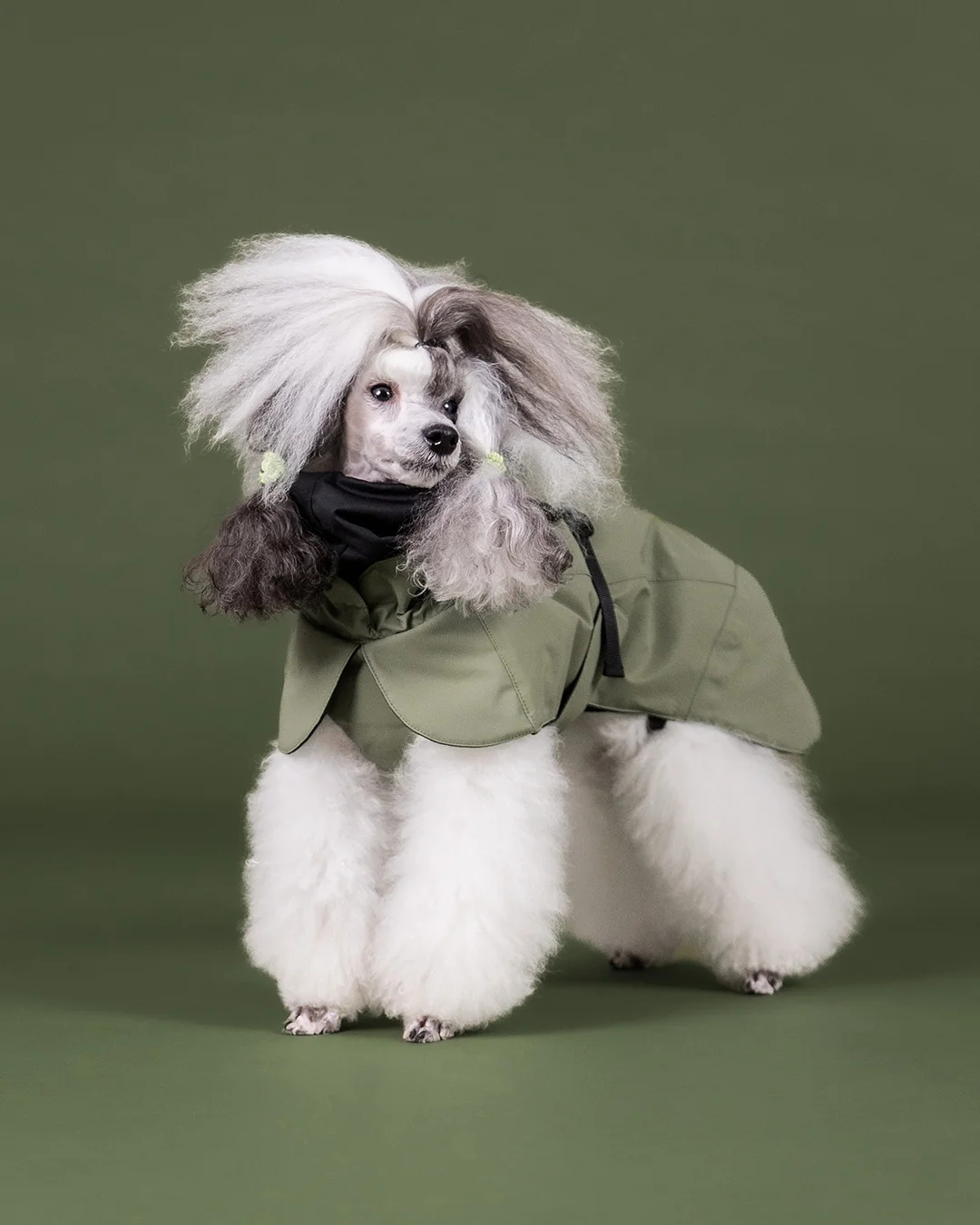 PAIKKA Visibility Hundewintermantel Seawool Oliv Gr. 25