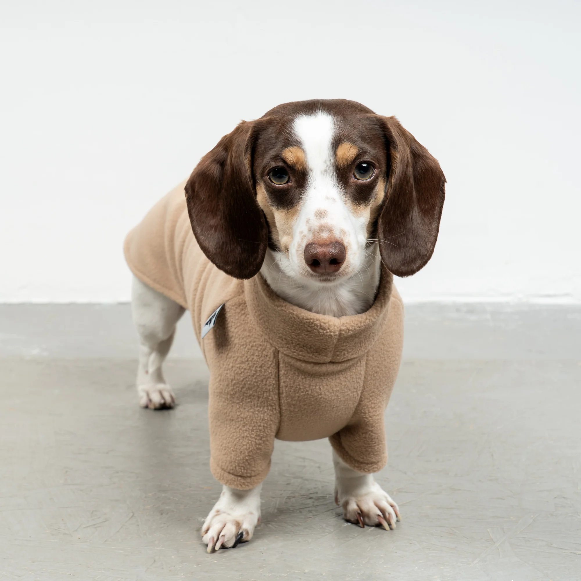 Karma Hund Pullover Dackel Sand Beige