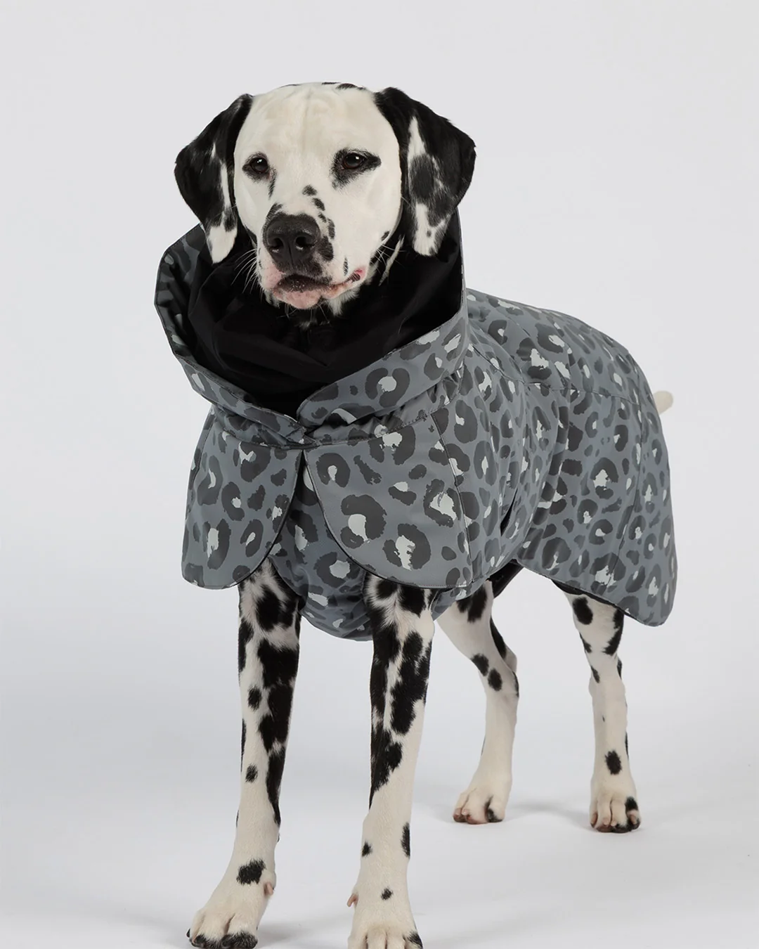 PAIKKA Visibility Hundewintermantel Seawool Grau Leo Gr. 25
