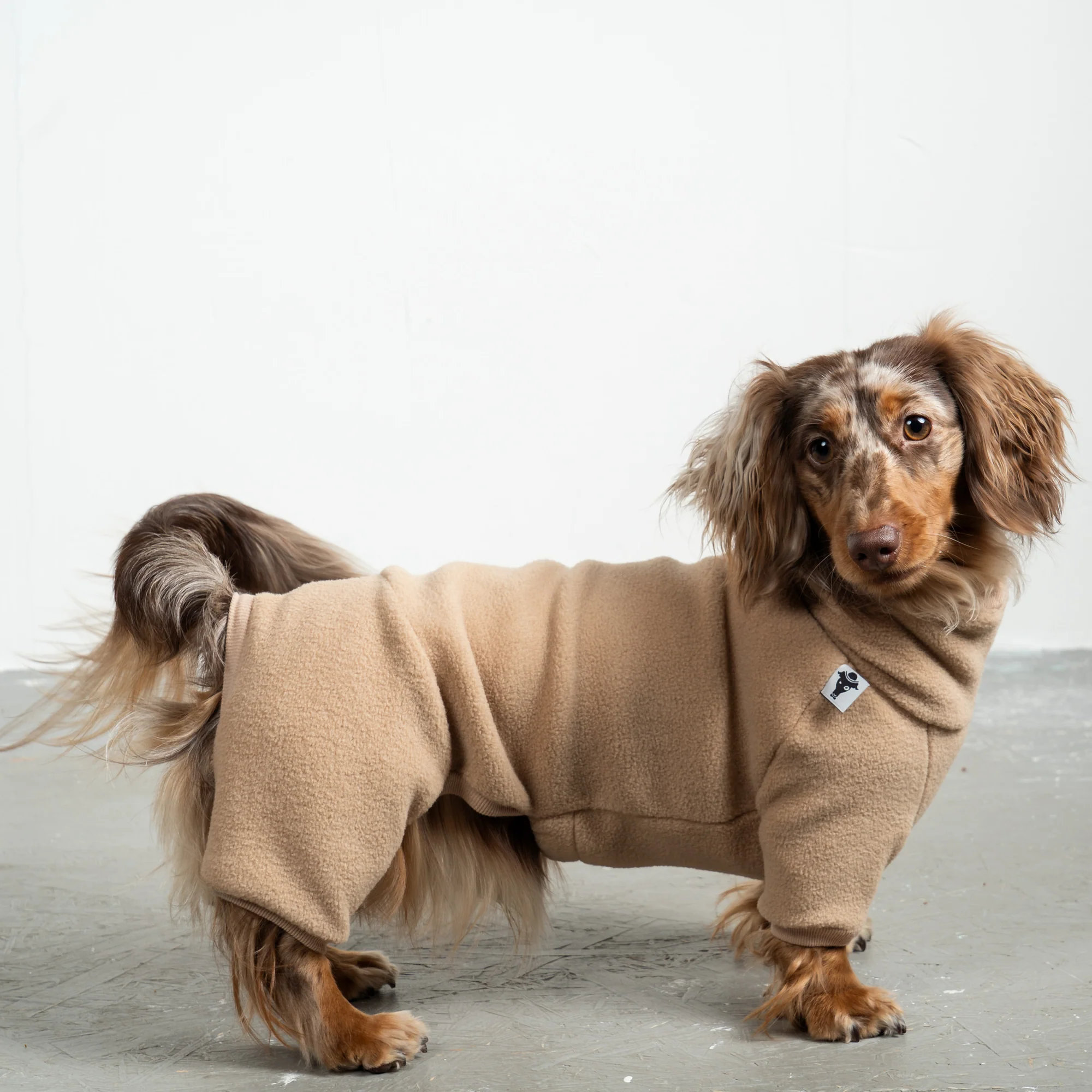 Karma Hund OVERALL Dackel Sand Beige S