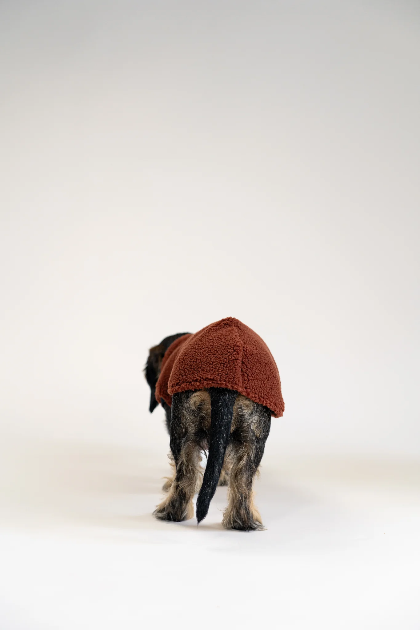 Karma Hund Teddy Shirt Dackel Rostbraun