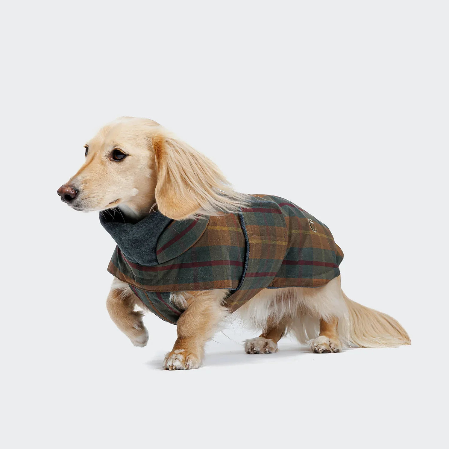 Cloud7 Hundemantel Dackel BROOKLYN Waxed Tartan Gr. 5