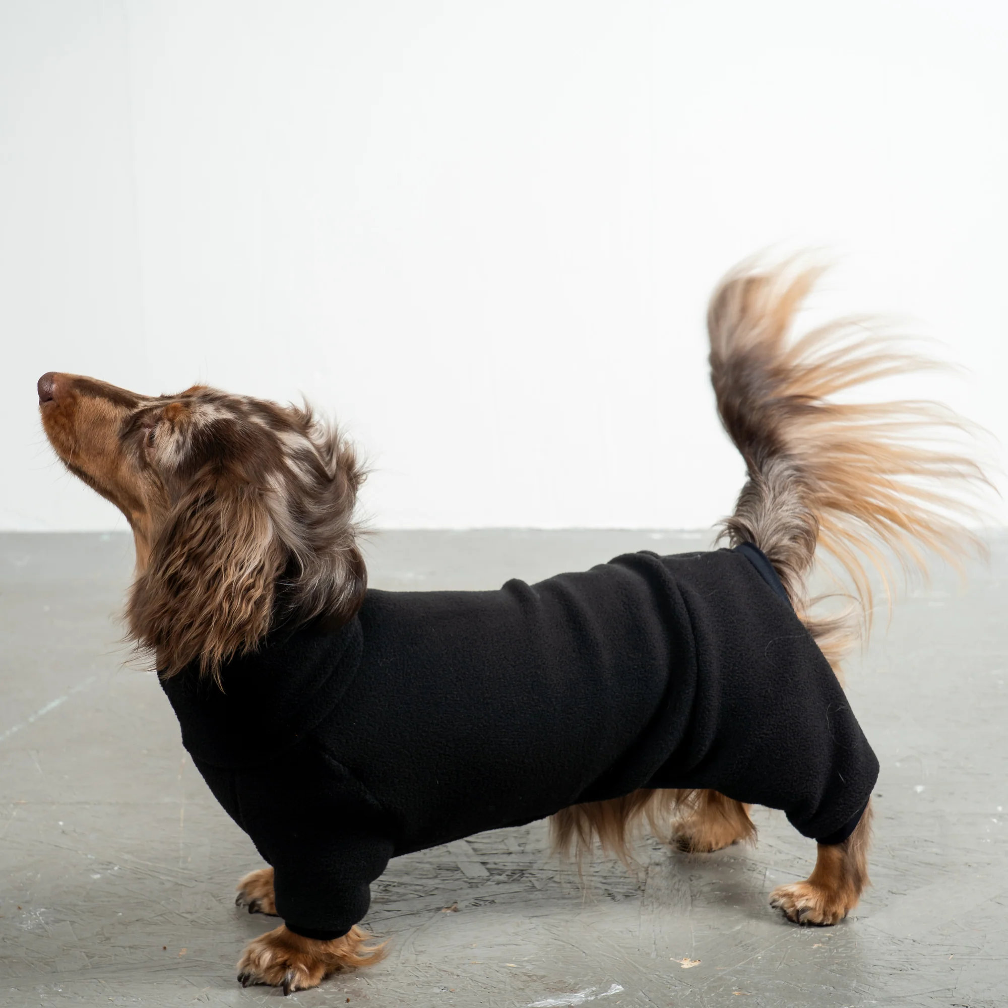 Karma Hund OVERALL Dackel Schwarz M