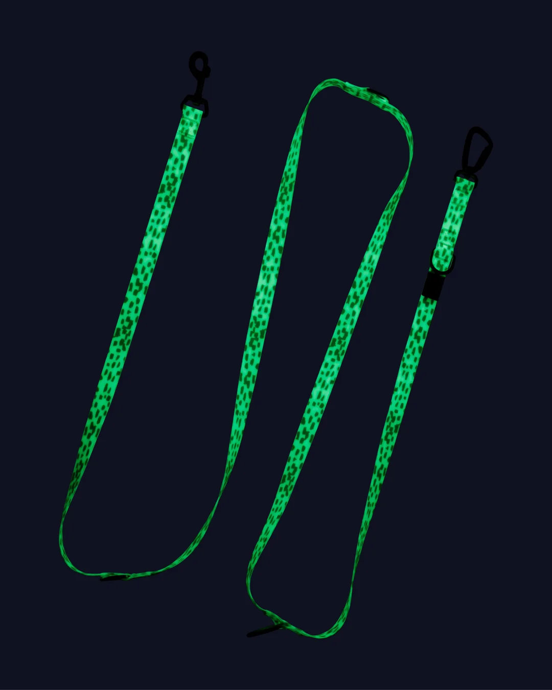 PAIKKA GLOW Hundeleine 2.0 – Nachleuchtende Führleine 1,5x300 cm