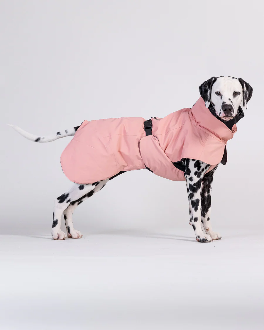 Hundewintermantel VISIBILITY WINTER JACKET WOOL Rose