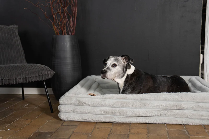 Kuschelbezug SOFT für ammi®bed Grau