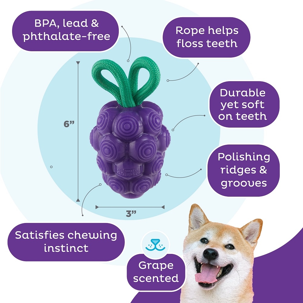 Planet Dog Hundespielzeug Dental Grapes Purple