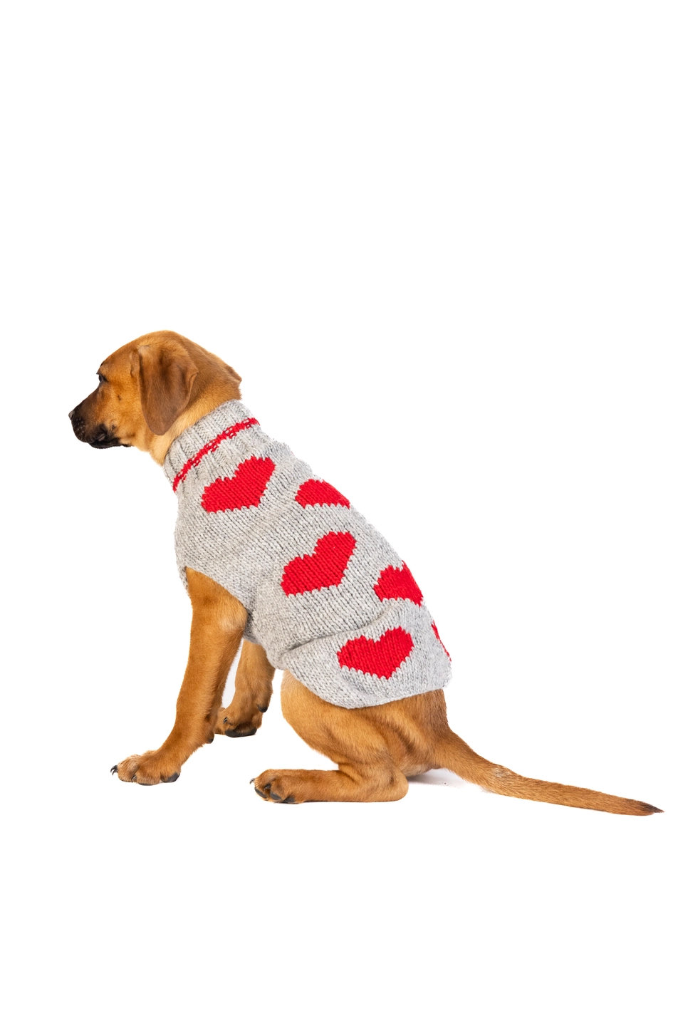 CHILLY DOG RED HEARTS – Handgestrickter Hundepullover aus reiner Wolle XS