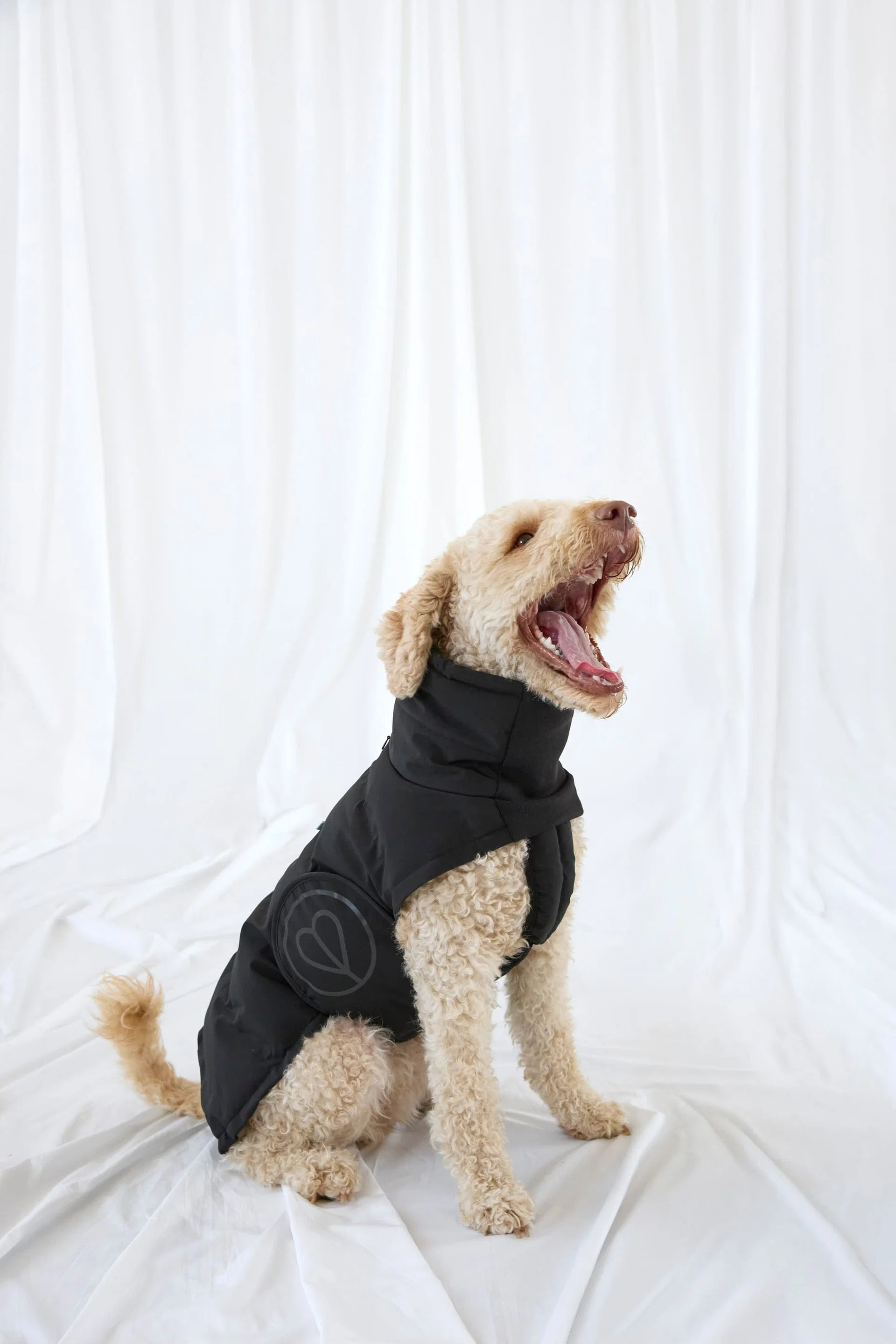 PALOPA Hundewintermantel Nolia Kurz Black – reguläre Passform Gr. 3