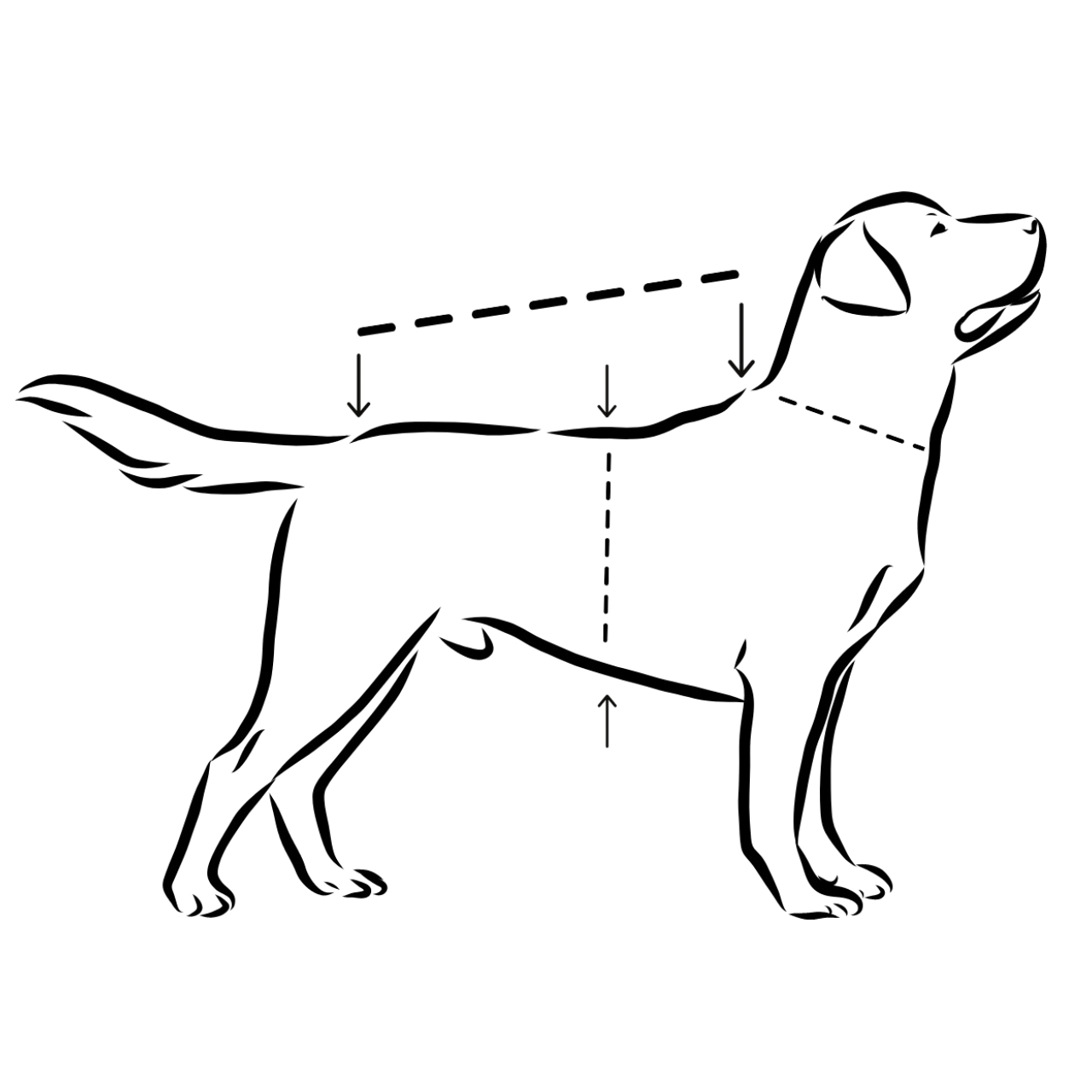 PAIKKA Visibility Hundewintermantel Seawool Choco Gr. 25