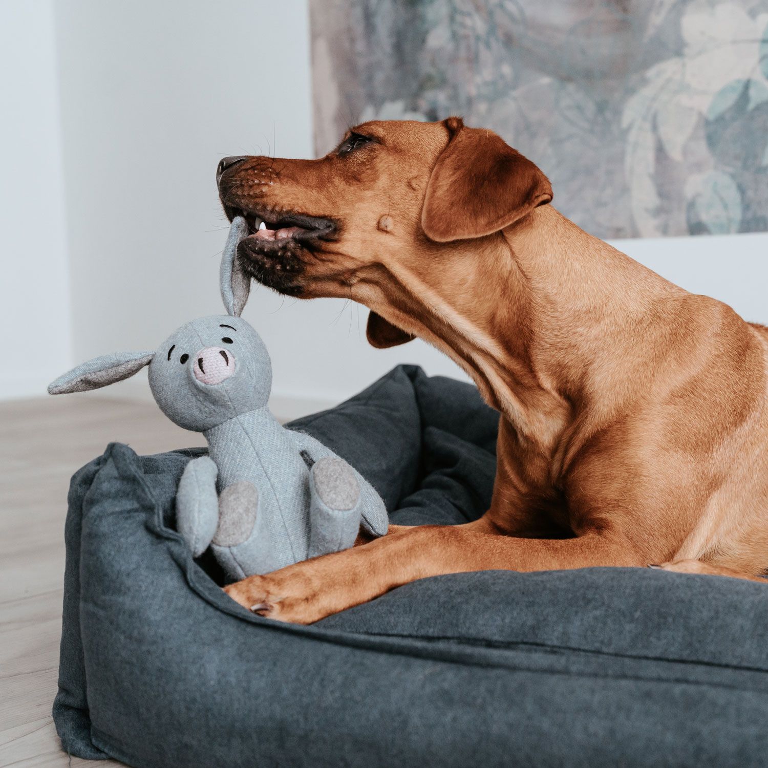 Hundespielzeug MARLE SCHWEIN