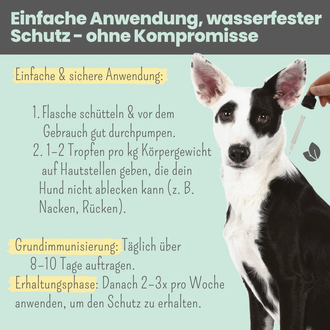 noms+ Wasserfestes Zpot-on für Hunde gegen Zecken, Flöhe, Milben & Mücken 100 ml