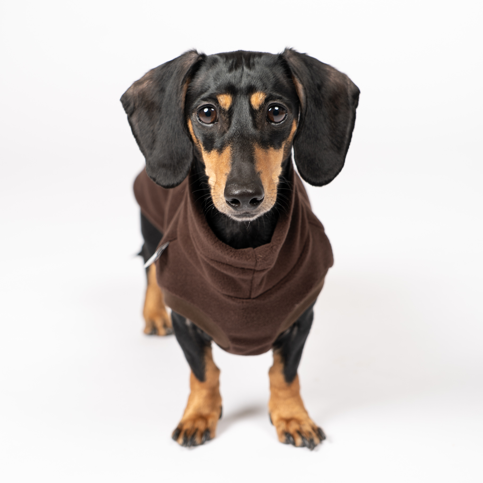 Karma Hund FLEECE SHIRT Dackel Dunkelbraun