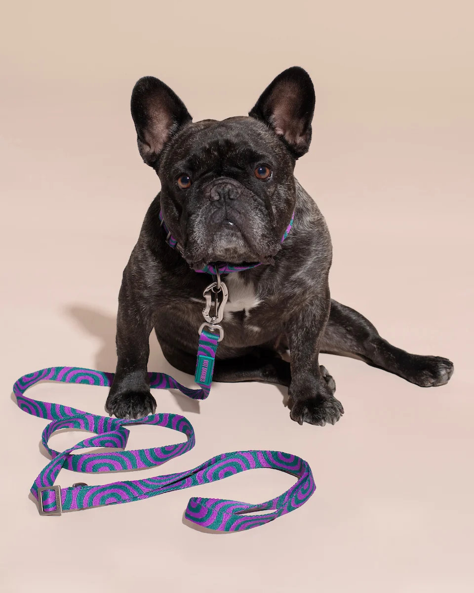 HOT DOGGIES® Hands-Free Leine LOLA GROOVE