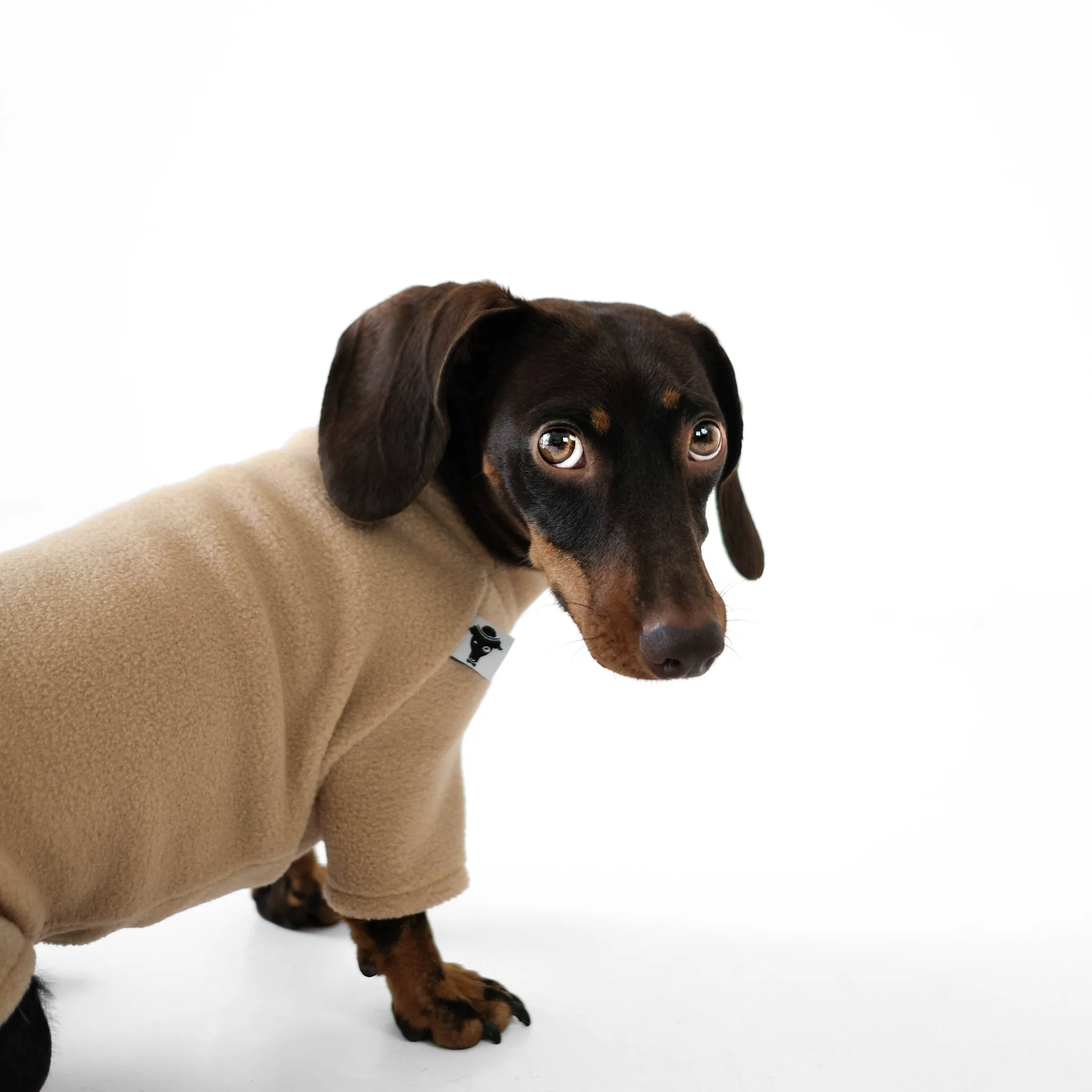 Pullover Dackel Camel