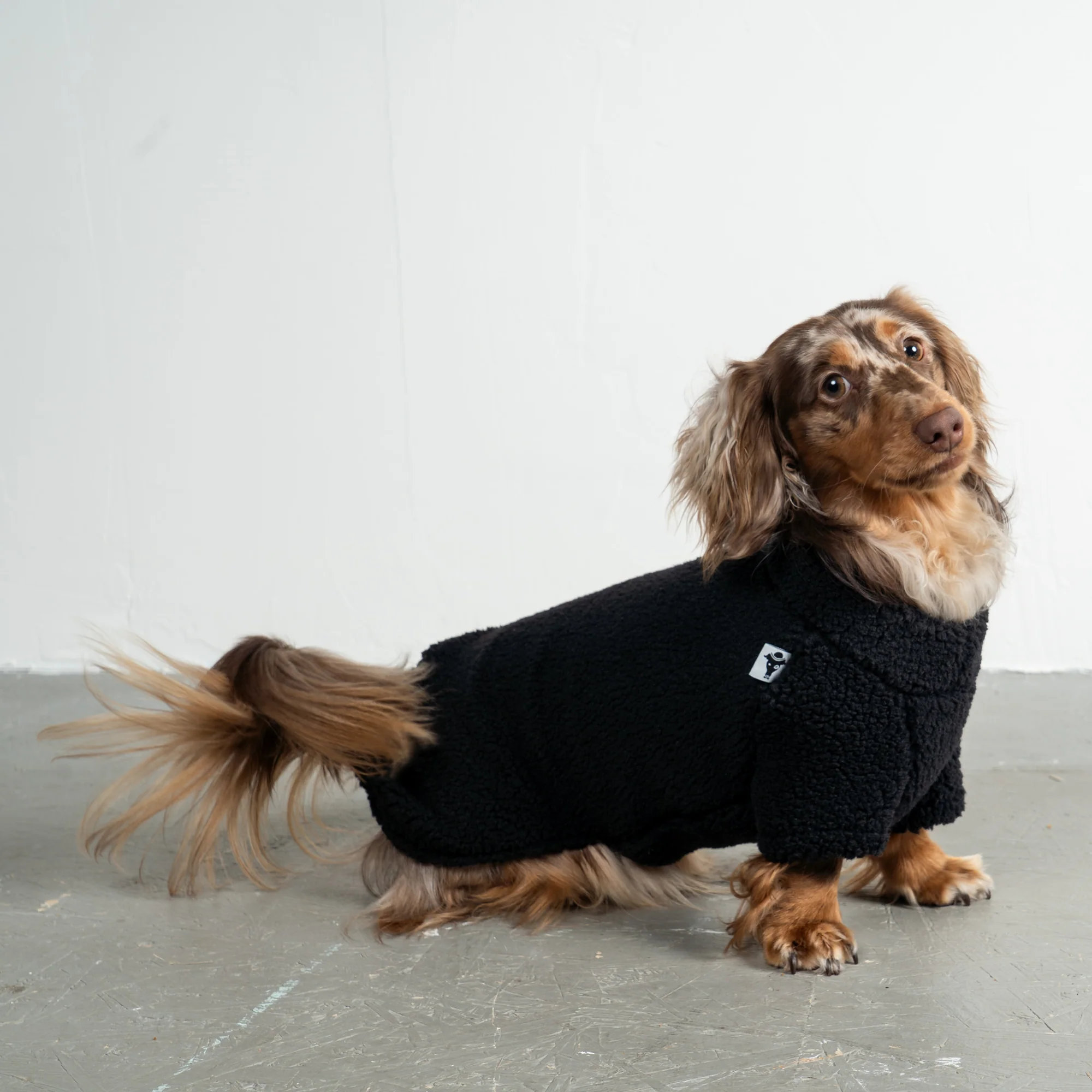 Karma Hund Teddy Pullover Dackel Schwarz
